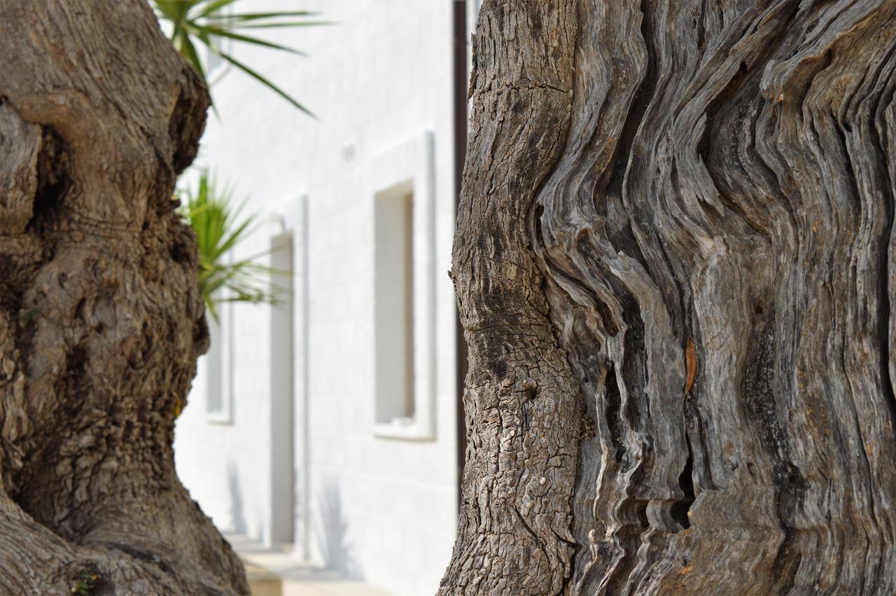 Masseria Torrepietra Monopoli Luaran gambar